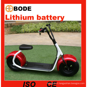 Nouveau Scooter électrique vélo électrique de 1000W avec batterie au Lithium